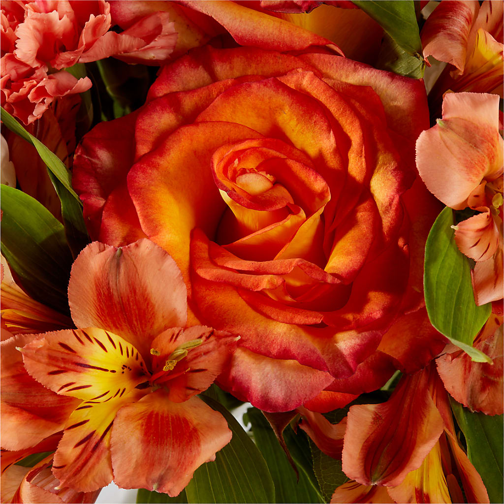 Apricot Glow Bouquet – SYLVIA'S FLORIST, Antioch CA