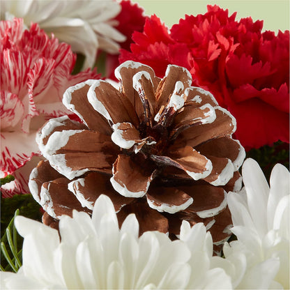 Candy Cane Lane Bouquet – SYLVIA'S FLORIST, Antioch CA