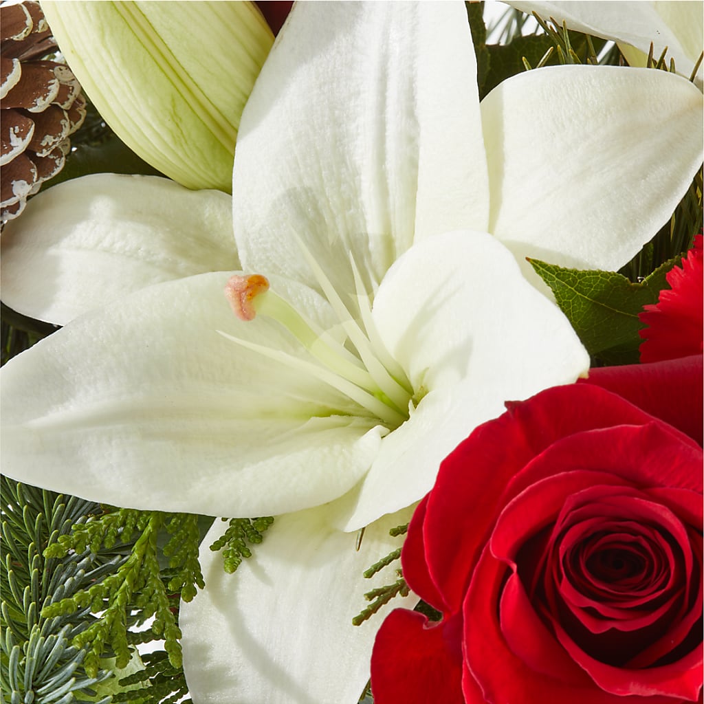Oh So Jolly Bouquet – SYLVIA'S FLORIST, Antioch CA