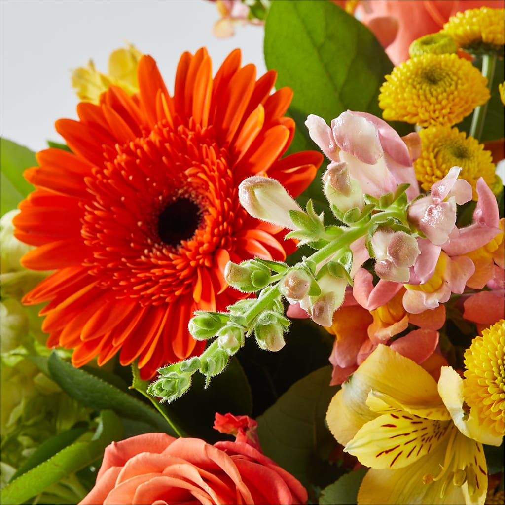 Autumn Sunshine Bouquet – SYLVIA'S FLORIST, Antioch CA
