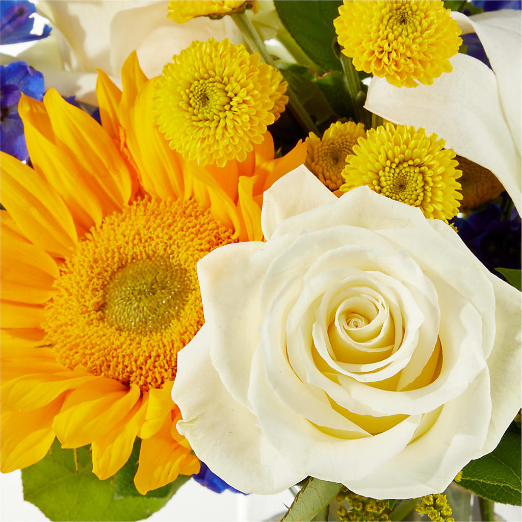 Stargazing Bouquet – SYLVIA'S FLORIST, Antioch CA