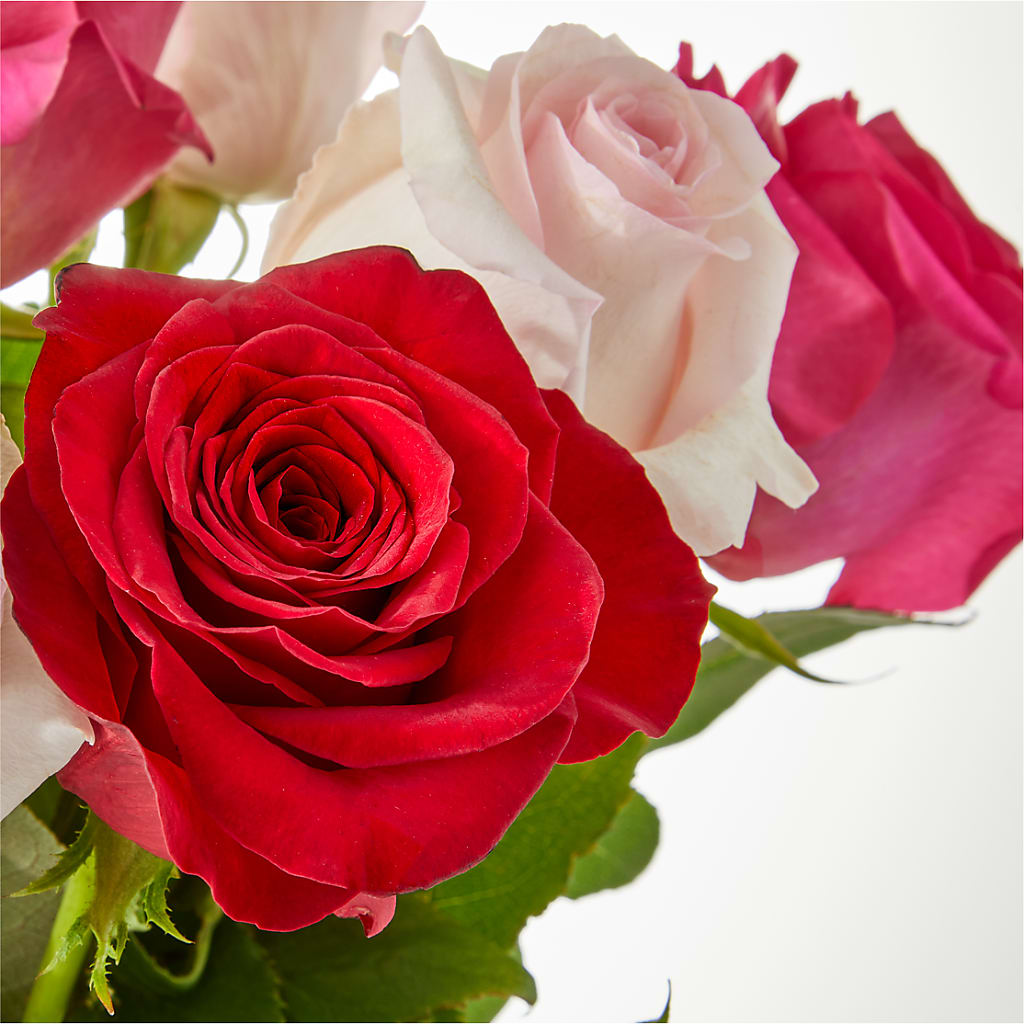 Charming Rose Bouquet – SYLVIA'S FLORIST, Antioch CA