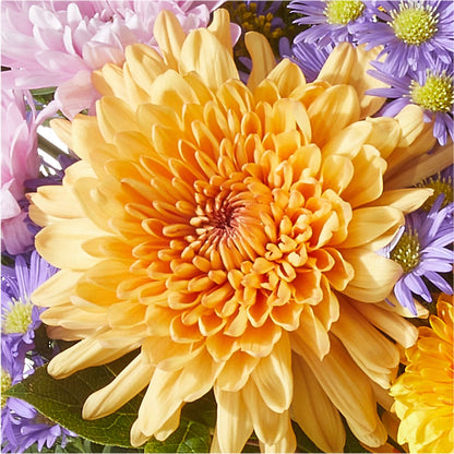 Countryside Bouquet – SYLVIA'S FLORIST, Antioch CA