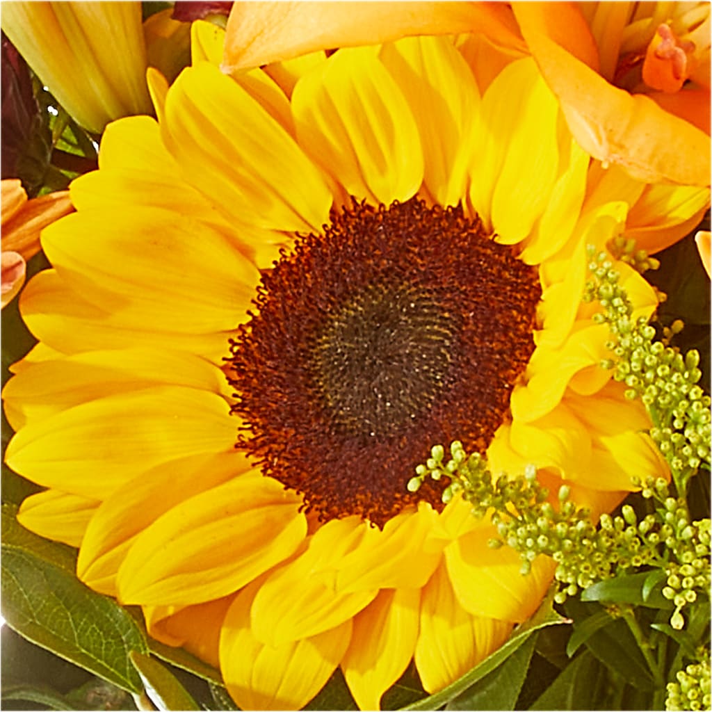 Seasons Change Bouquet – SYLVIA'S FLORIST, Antioch CA
