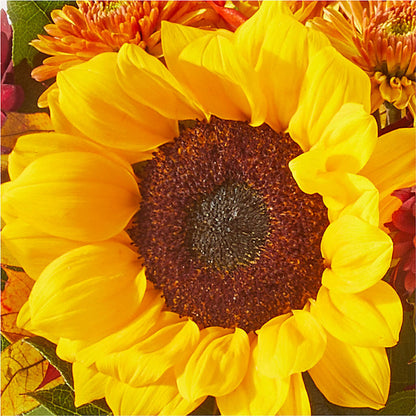 Sunny Side Bouquet – SYLVIA'S FLORIST, Antioch CA