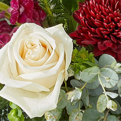 Cranberry Fizz Bouquet – SYLVIA'S FLORIST, Antioch CA