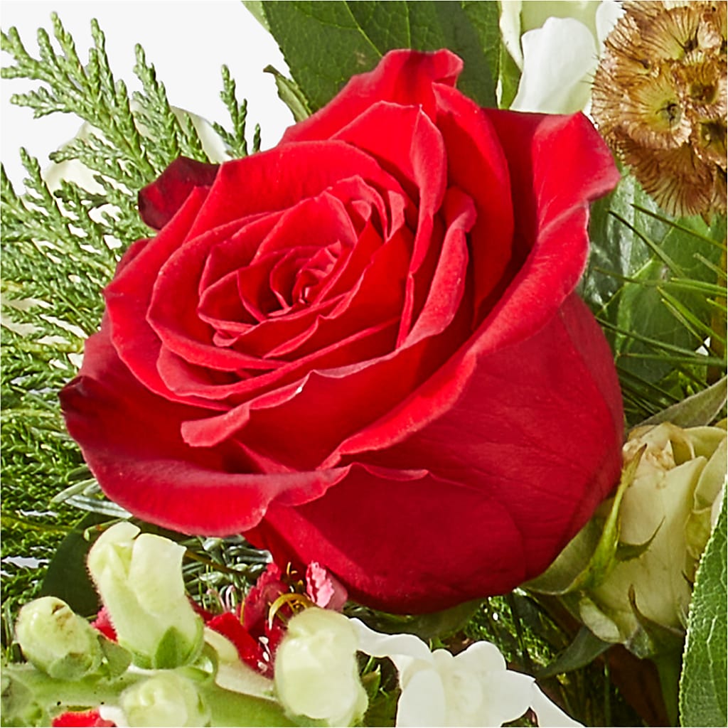 Deck the Halls Bouquet – SYLVIA'S FLORIST, Antioch CA