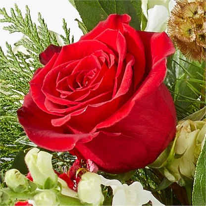 Deck the Halls Bouquet – SYLVIA'S FLORIST, Antioch CA