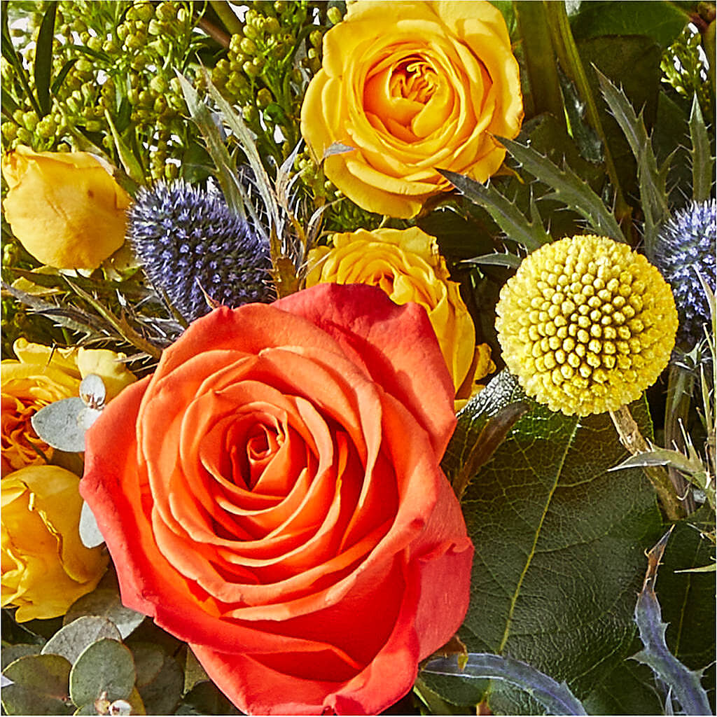 Disco Bouquet – SYLVIA'S FLORIST, Antioch CA