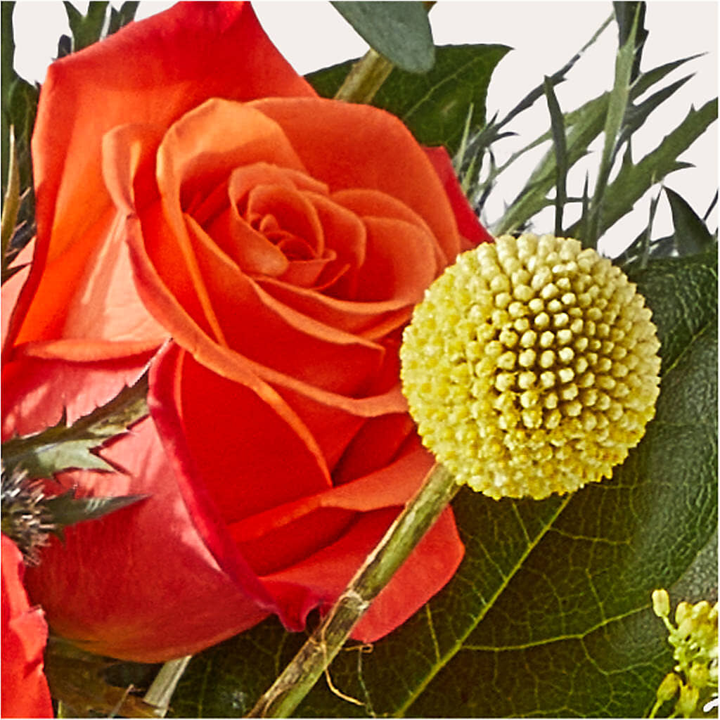 Disco Bouquet – SYLVIA'S FLORIST, Antioch CA