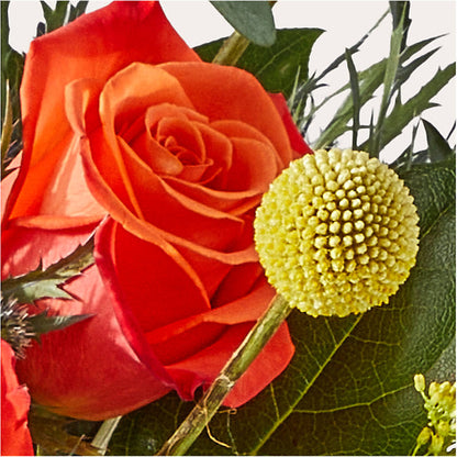 Disco Bouquet – SYLVIA'S FLORIST, Antioch CA
