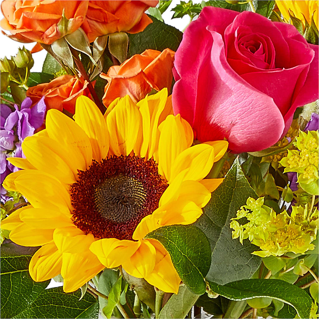 Vibrant Greetings Bouquet – SYLVIA'S FLORIST, Antioch CA