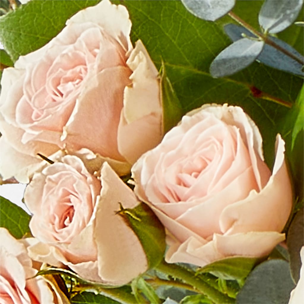 Inspired Bouquet – SYLVIA'S FLORIST, Antioch CA