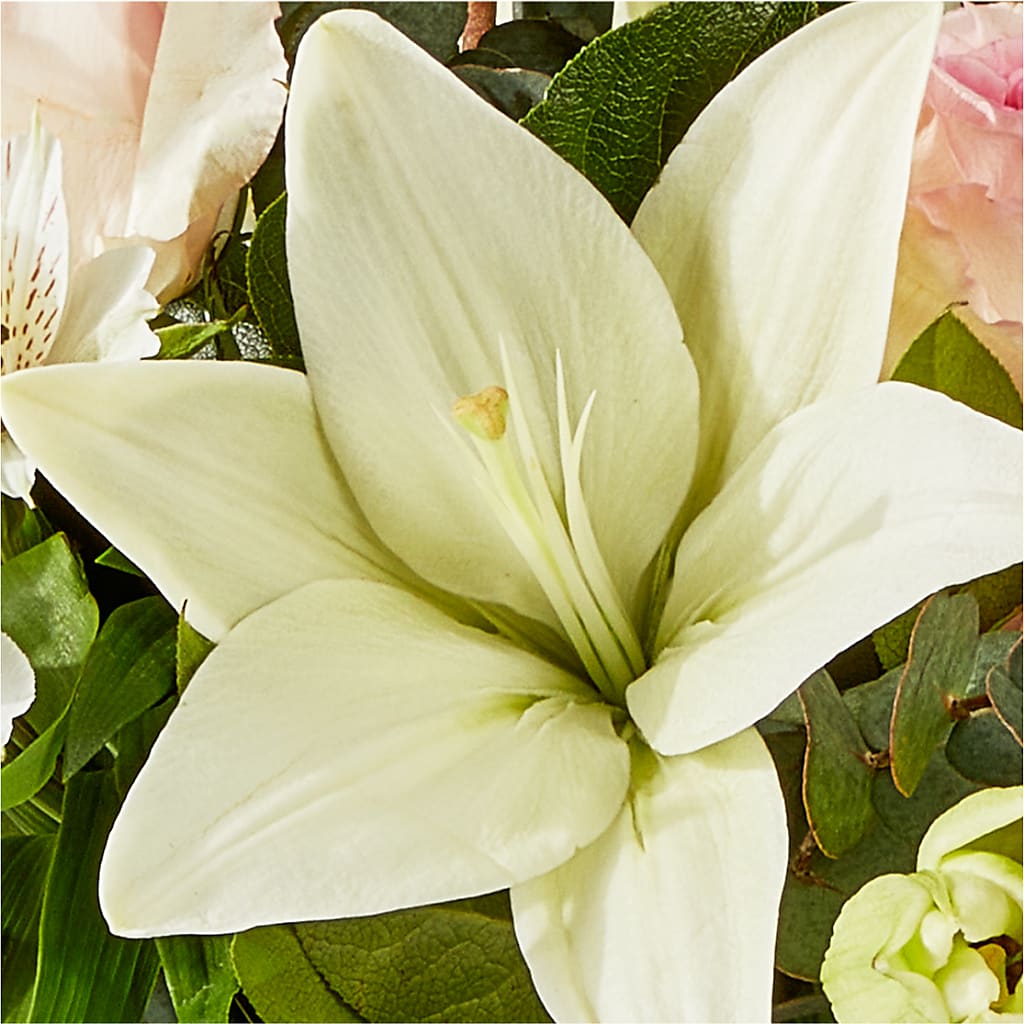 Ballet Slippers Bouquet – SYLVIA'S FLORIST, Antioch CA