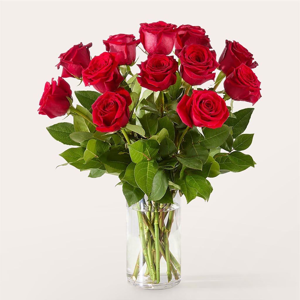 The One Red Rose Bouquet – SYLVIA'S FLORIST, Antioch CA