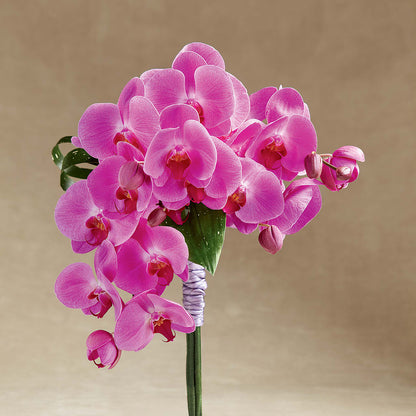 Glorious Bouquet – SYLVIA'S FLORIST, Antioch CA