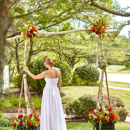 Arbor of Love Archway – SYLVIA'S FLORIST, Antioch CA