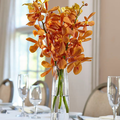 Orange Mokara Bud Vase – SYLVIA'S FLORIST, Antioch CA