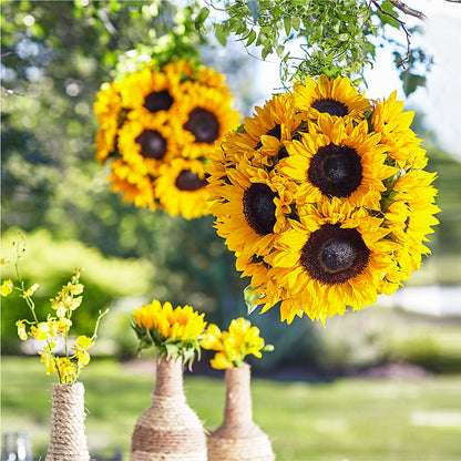 Sublime Garden Hanging Arrangement – SYLVIA'S FLORIST, Antioch CA