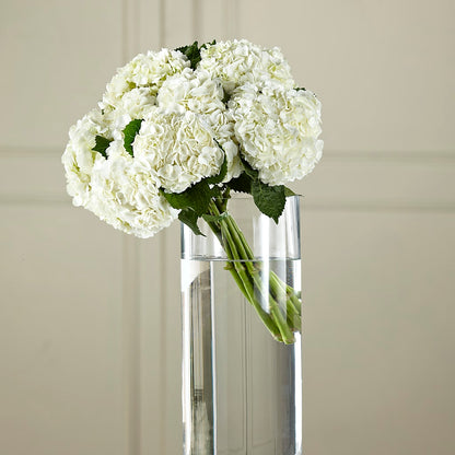 White Hydrangea Hand-Tied Bouquet – SYLVIA'S FLORIST, Antioch CA