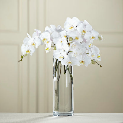 White Phalaenopsis Bouquet – SYLVIA'S FLORIST, Antioch CA