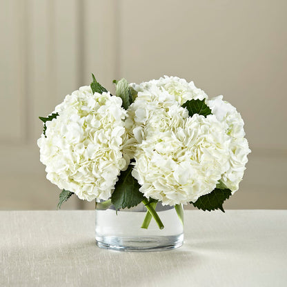 White Hydrangea Bouquet – SYLVIA'S FLORIST, Antioch CA